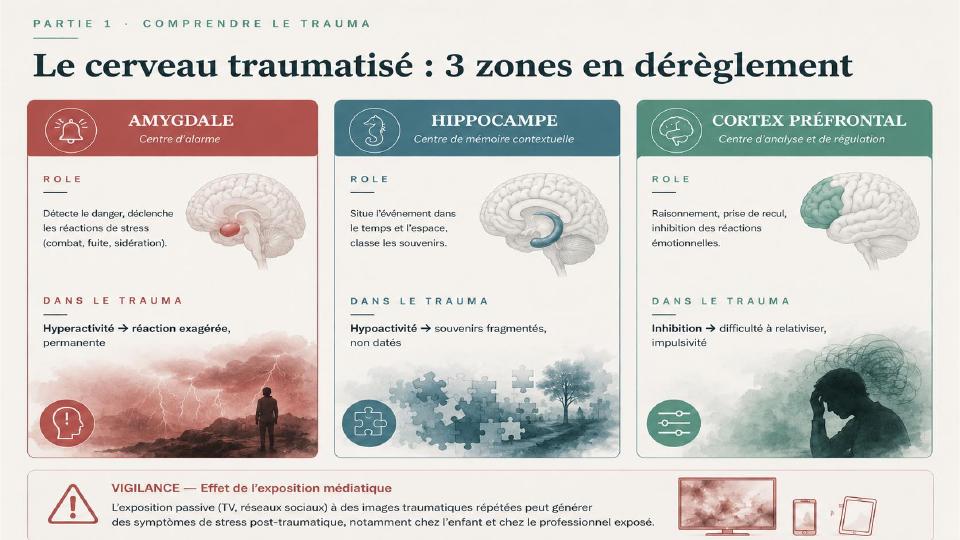 Comprendre la mémoire traumatique