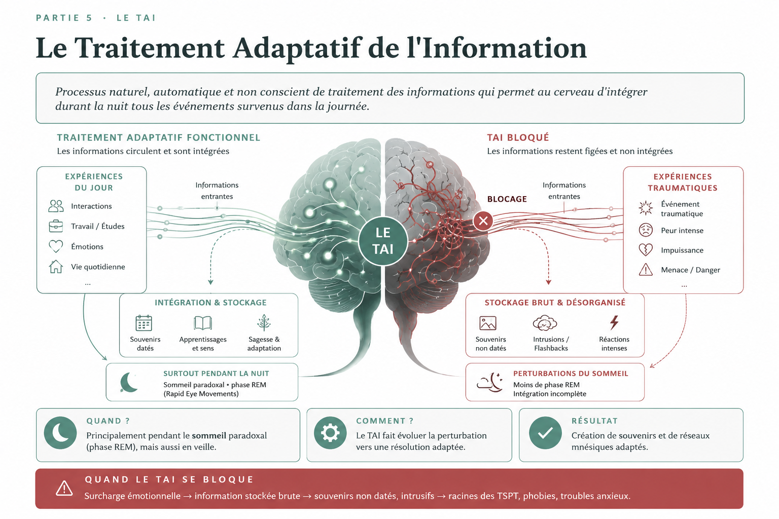 Le modèle du Traitement Adaptatif de l’Information expliqué visuellement